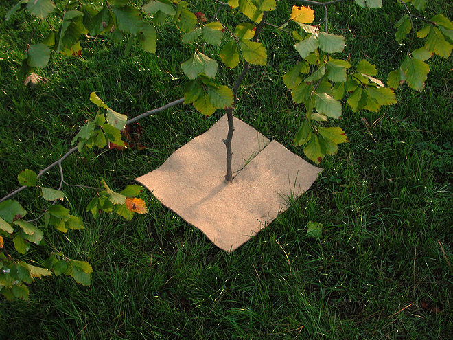 EcoJute Mulch Mats (100% Biodegradable) image 1